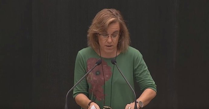 La portavoz del PSOE en el Ayuntamiento de Madrid, Purificación Causapié