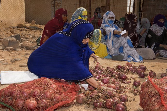 Distribución de productos frescos en los campamentos de refugiados saharauis