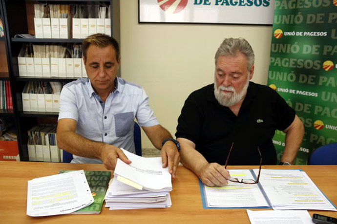 Agencia Catalana de Noticias