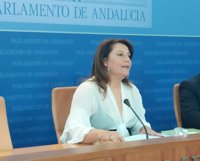 PP-A pedirá en la comisión de la Faffe la comparecencia de Carnero, Fernández, Villén y del dueño del prostíbulo