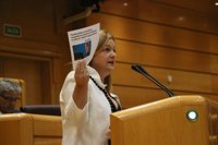 Senado insta al Gobierno a defender la elección del castellano en educación en las CCAA donde hay dos lenguas oficiales