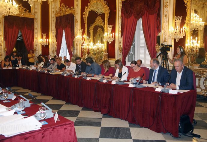 Pleno Ordinario de septiembre de la Diputación de Cádiz