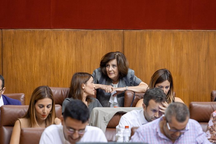 La consejera de Igualdad, María José Sánchez, en el Pleno del Parlamento