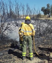 Estabilizado el incendio forestal declarado en El Burgo (Málaga)