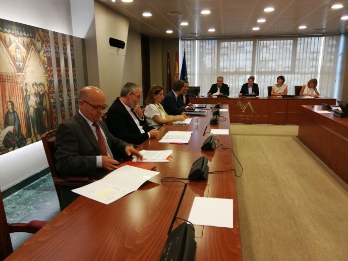 FOTO Comisión de Política Territorial EN ASAMBLEA