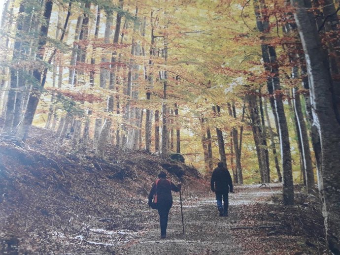 La Rioja en otoño portada folleto de actividades