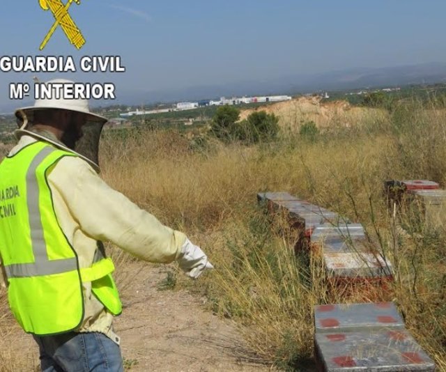 Colmenas recuperadas 