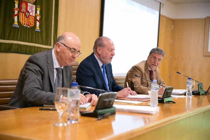 Pleno de la Diputación de Sevilla