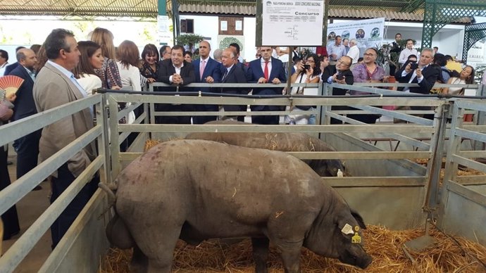 Vídeo de la noticia