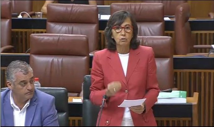 Rosa Aguilar en el Parlamento