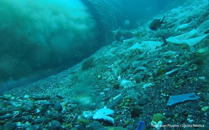 Vertidos de aguas fecales