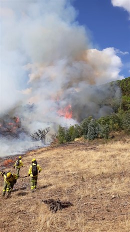 El Infoca trabaja en la extinción de un incendio en La Granada de Riotinto. 