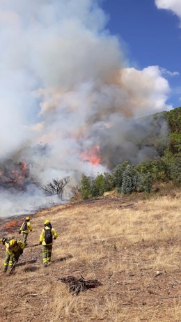 El Infoca trabaja en la extinción de un incendio en La Granada de Riotinto. 