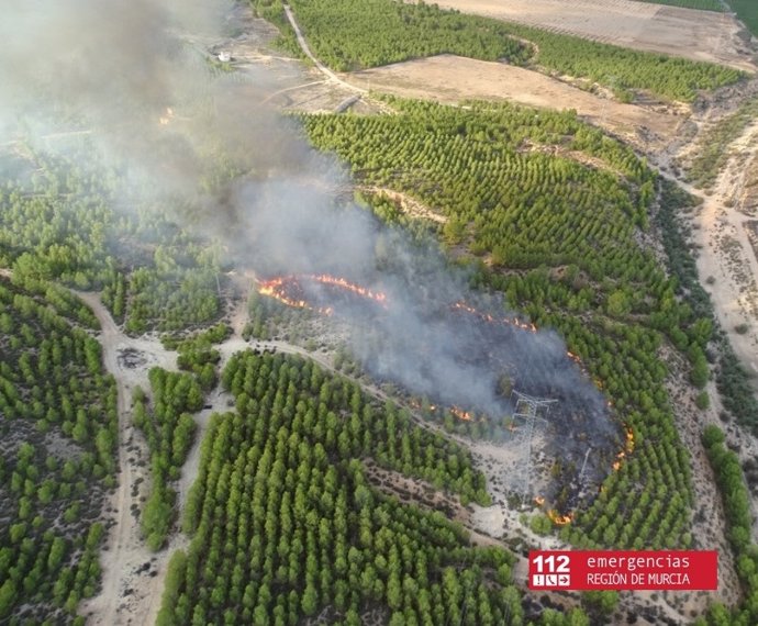 Imagen aérea de la superficie afectada por el fuego en Abarán