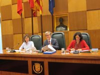 Unanimidad en el pleno sobre el "importante" papel de las peñas y asegurarles un espacio en las fiestas del Pilar