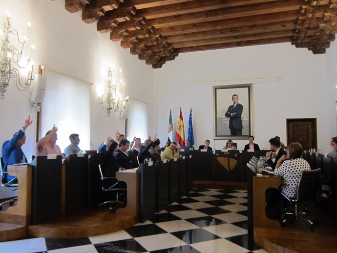 Pleno de la Diputación de Cáceres                           