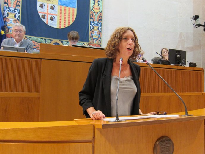 La diputada de IU en las Cortes de Aragón, Patricia Luquin
