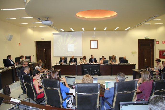 Sesión ordinaria de consejo de gobierno de la UCO