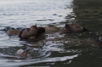 Zinemaldia.- 'Entre dos aguas', Concha de Oro de la 66 edición del Festival de San Sebastián