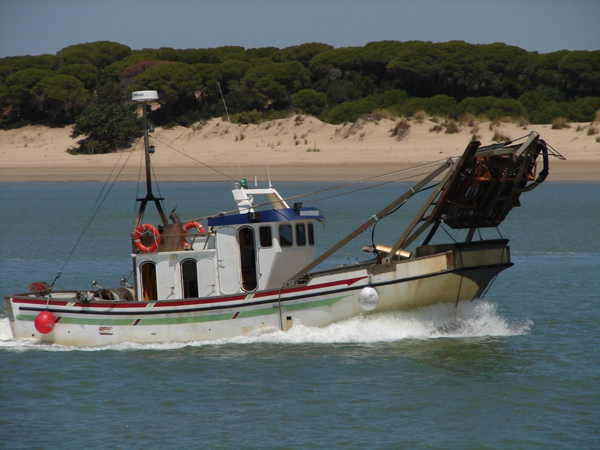 Abre este lunes el caladero del Golfo de Cádiz para la pesquería de la ...