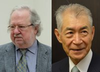 La inmunoterapia contra el cáncer gana el Nobel