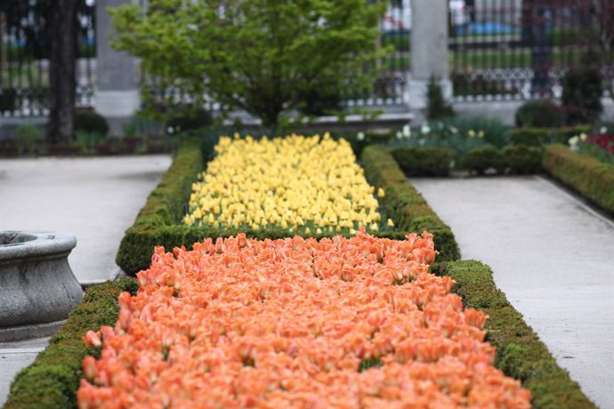 Real Jardín Botánico de Madrid