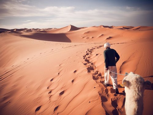 Desierto del Sáhara