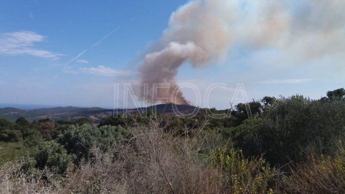 Incendio forestal en Cerro del Tambor en Tarifa