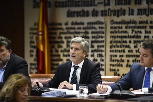 El ministro del Interior, Fernando Grande-Marlaska, comparece en el Senado
