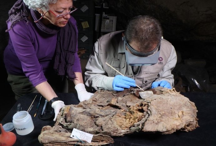 Unas jornadas dan a conocer estudios sobre momias egipcias