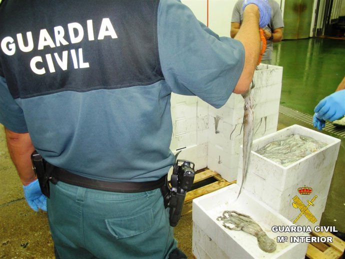 Remitiendo Una Nota De Prensa