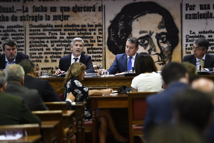 El ministro del Interior, Fernando Grande-Marlaska, comparece en el Senado