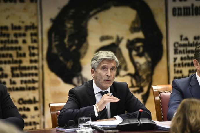 El ministro del Interior, Fernando Grande-Marlaska, comparece en el Senado