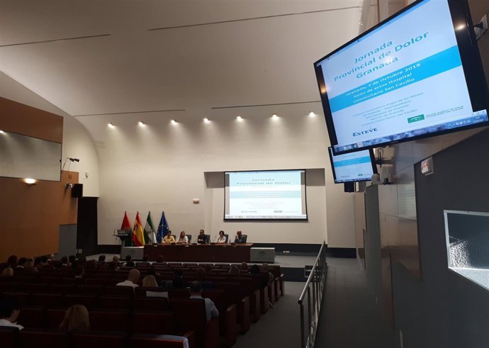  I Jornada Provincial Del Dolor 