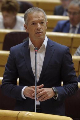 Ander Gil, portavoz del PSOE en el Senado