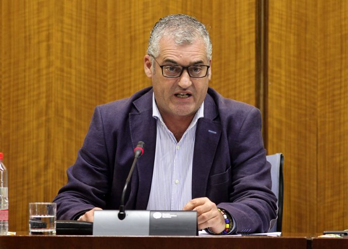 Javier Carnero, en el Parlamento.
