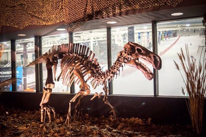 Una exposición de dinosaurios en Xanadú