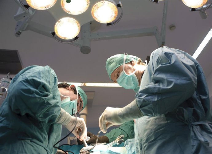 Profesionales del SAS