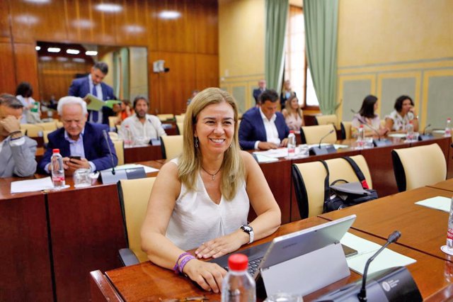 La parlamentaria del PP Teresa Ruiz-Sillero 