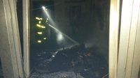 Extinguido el incendio de pastos de Chipiona (Cádiz), que afecta a varios animales del centro 'El Camaleón'