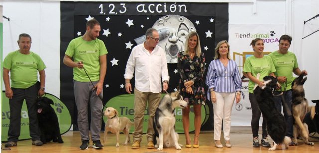 Tiendanimal maratón dog perros campaña educación alba calvo 