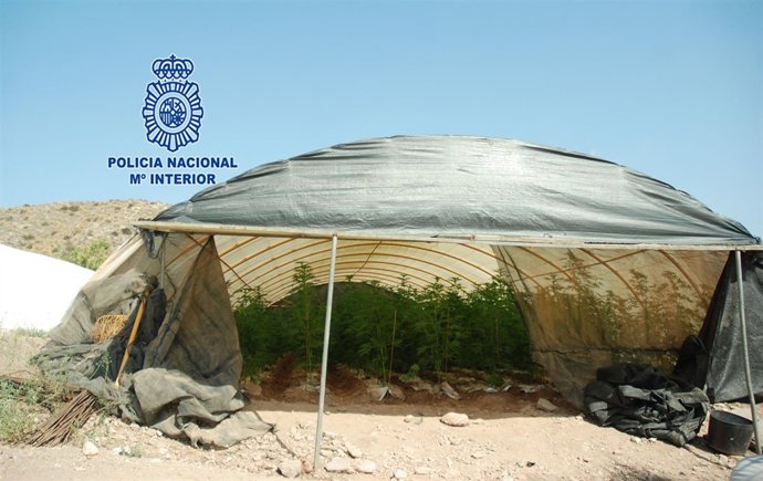 Invernadero desmantelado 