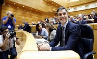 PSOE acusa al PP de convertir el Senado en un "lodazal" y le advierte de que el Gobierno "no irá de las orejas"
