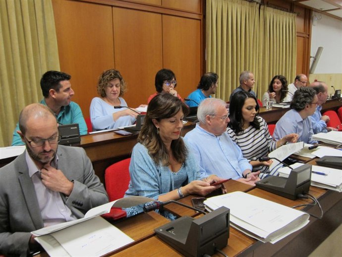 Bancada del gobierno local de PSOE e IU y del grupo Ganemos en el Pleno