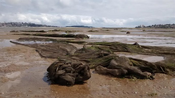 Mallas de protección retiradas de los parques de almejas en Santander