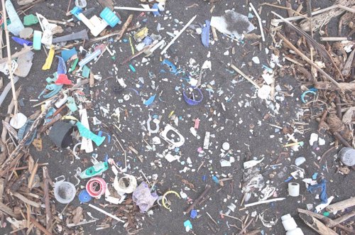 Desechos plásticos en la costa de la isla de Santa Elena                    