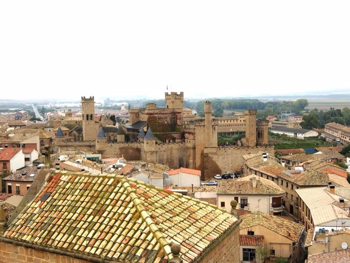 Vista de Olite, con el castillo de fondo