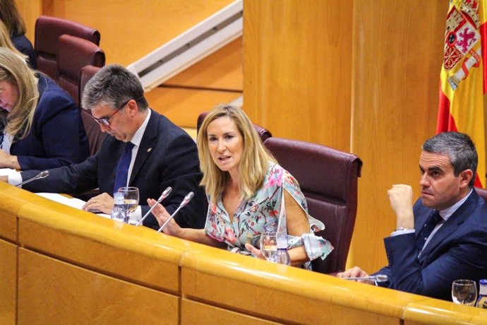 La presidenta del PP de Navarra, Ana Beltrán, en el Senado