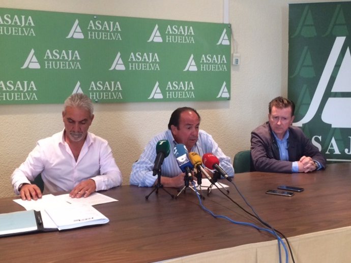 Asaja y CCOO firman el convenio del campo de Huelva. 