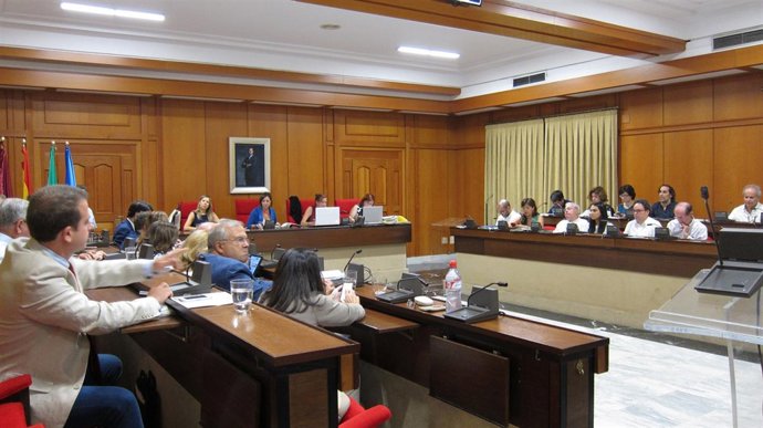 Pleno del Ayuntamiento